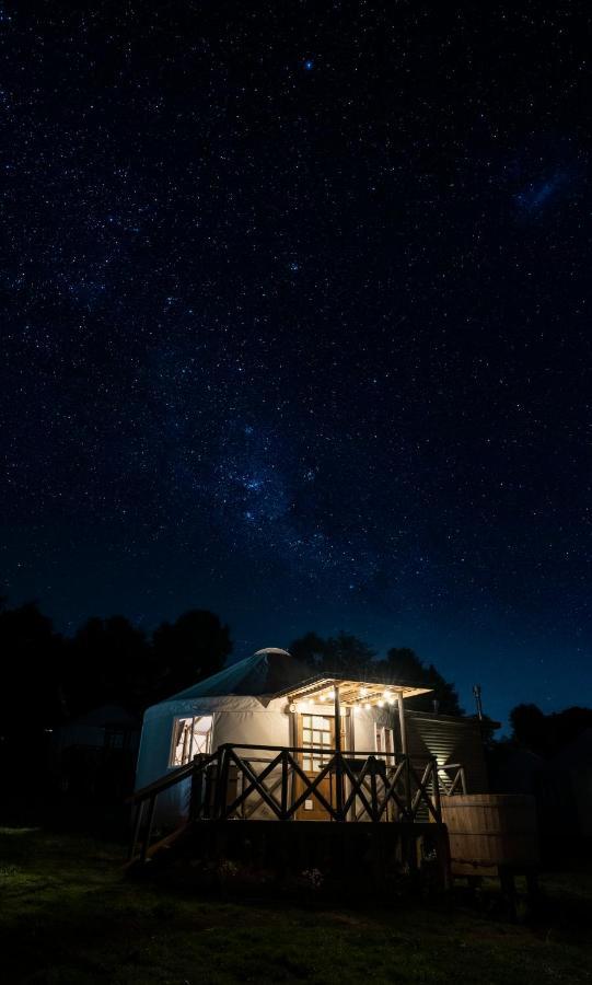Domos Anulen Daire Puerto Varas Dış mekan fotoğraf