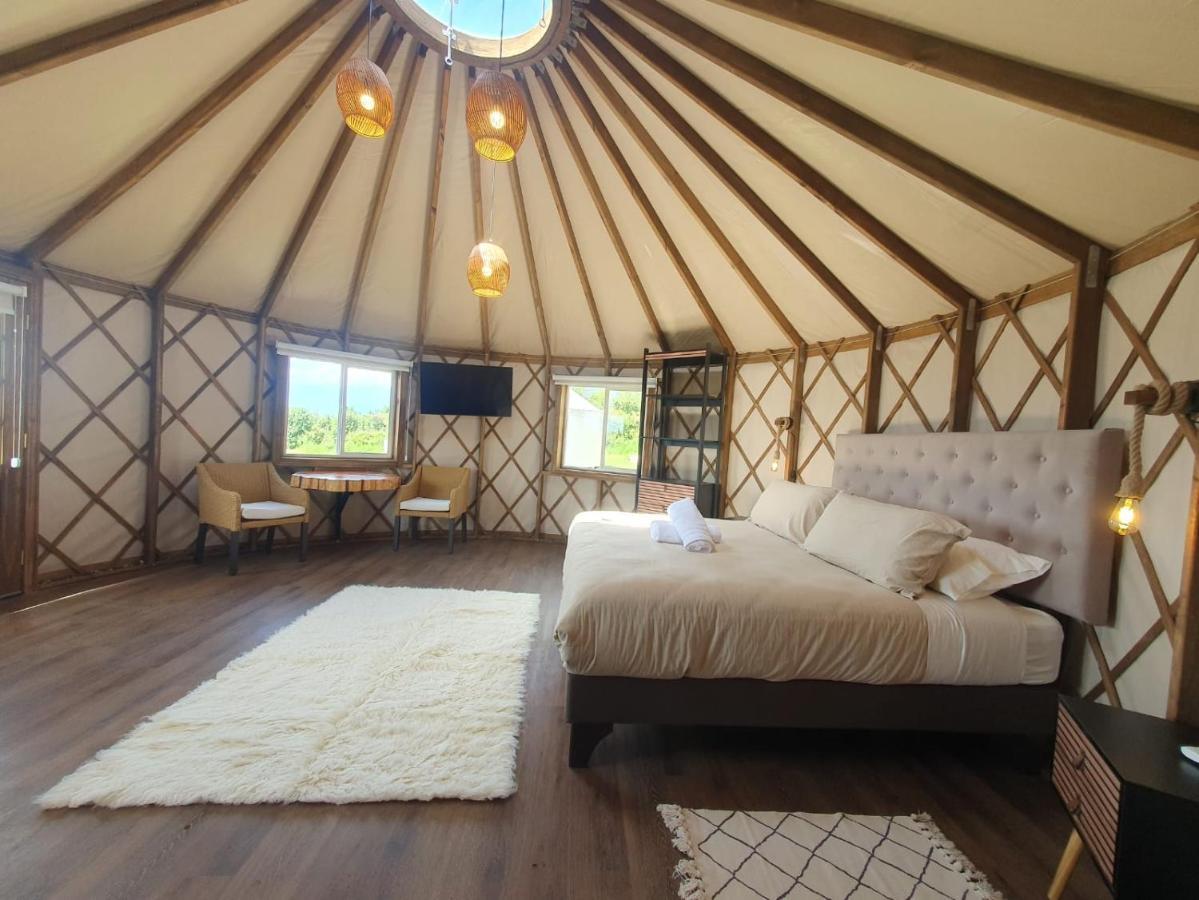 Domos Anulen Daire Puerto Varas Dış mekan fotoğraf