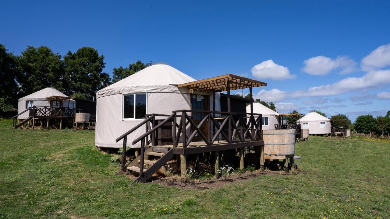 Domos Anulen Daire Puerto Varas Dış mekan fotoğraf
