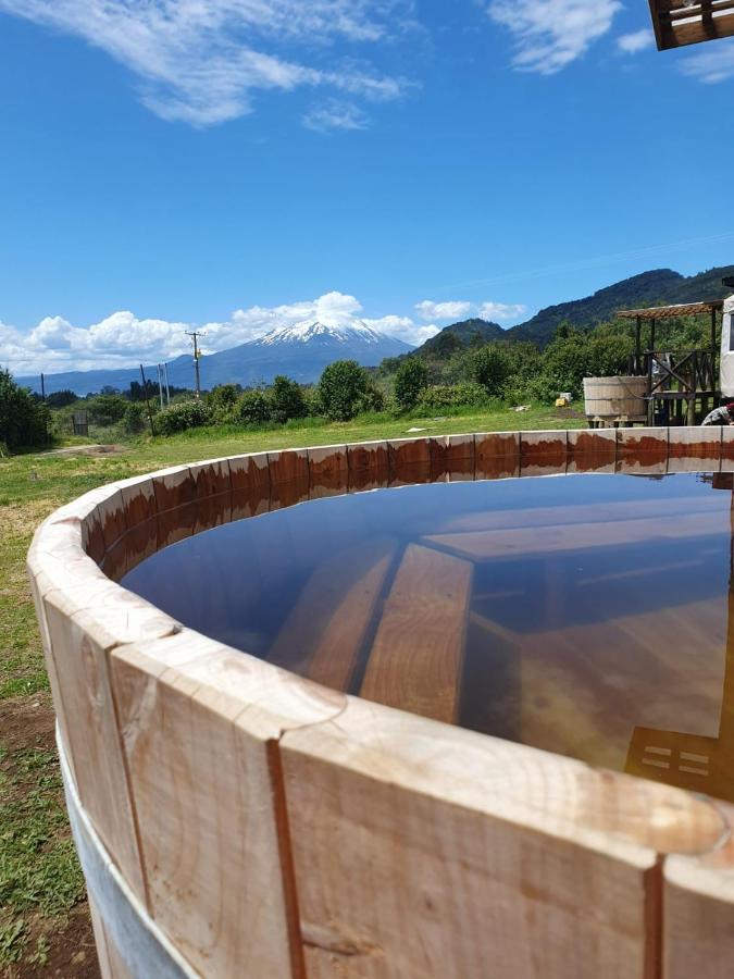 Domos Anulen Daire Puerto Varas Dış mekan fotoğraf