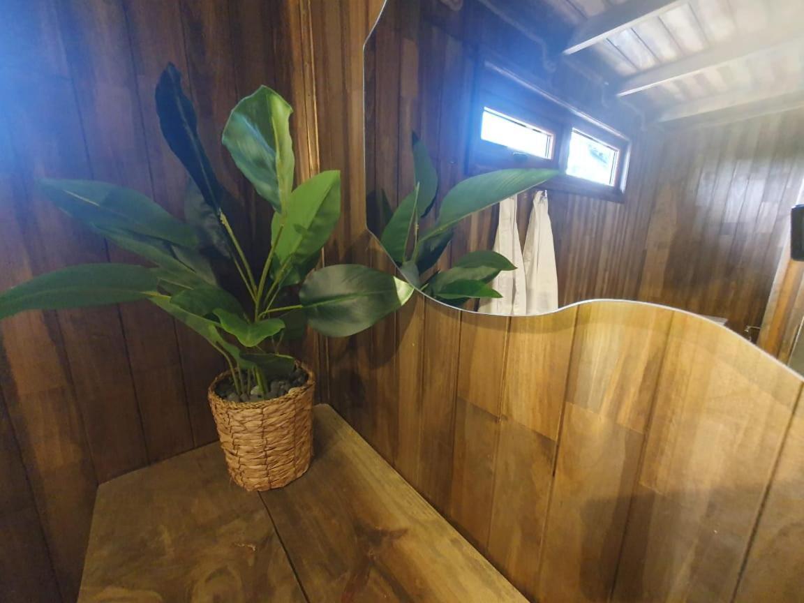 Domos Anulen Daire Puerto Varas Dış mekan fotoğraf